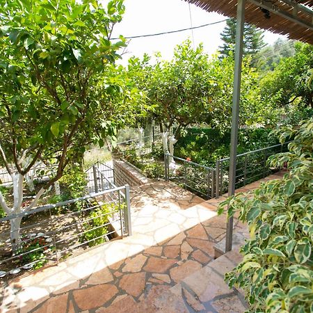 Ella Apartments Parga Dış mekan fotoğraf
